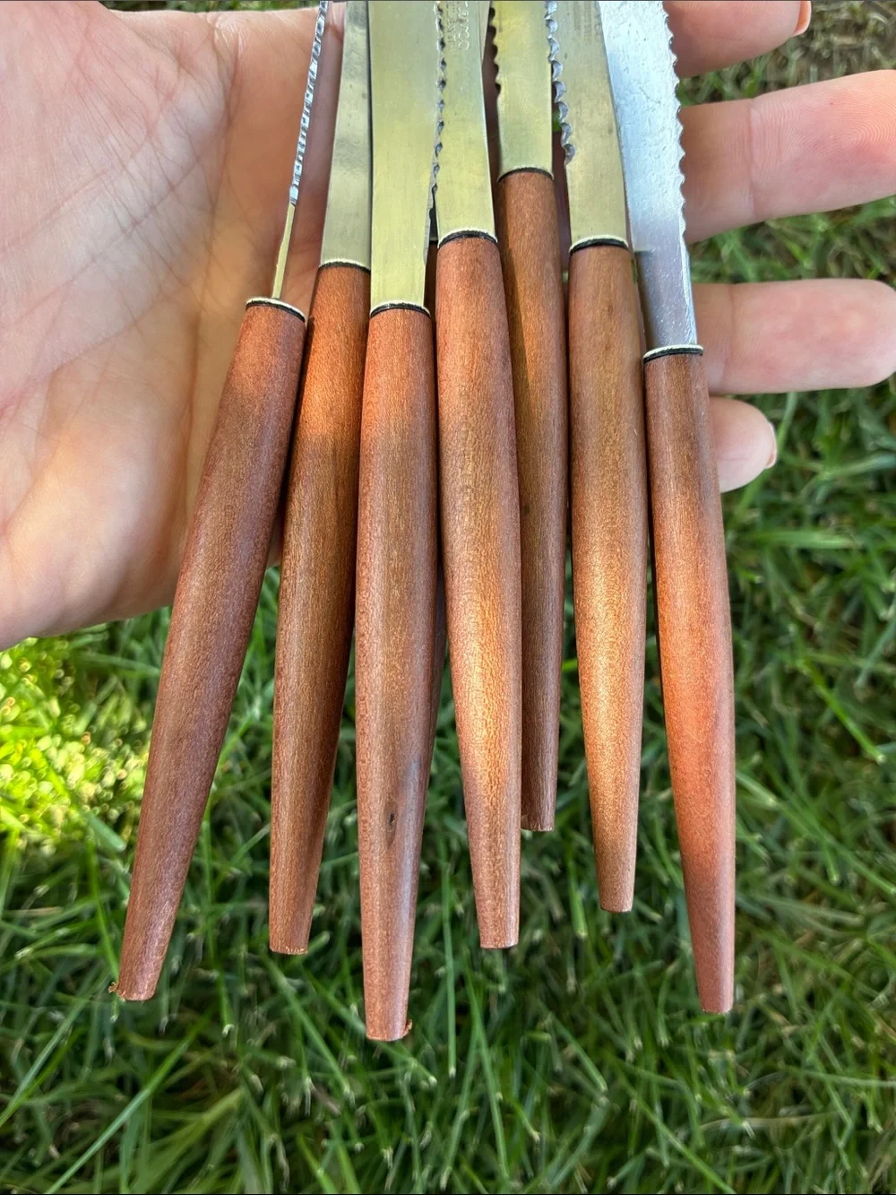 Nevco complete set